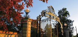 Gate of 紫ý University
